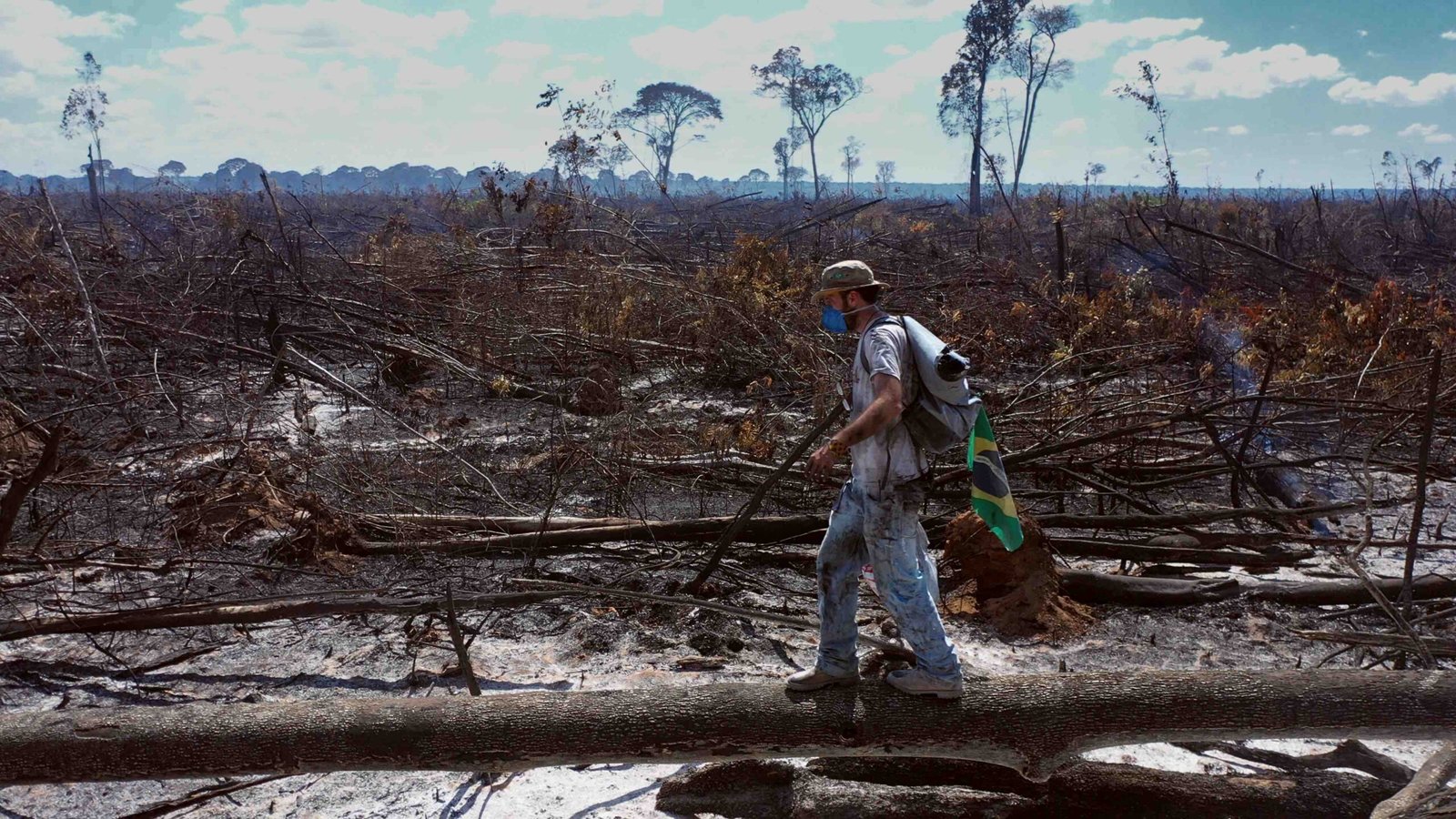 Canal Brasil exibe mostra para celebrar o Dia Internacional do Meio Ambiente
