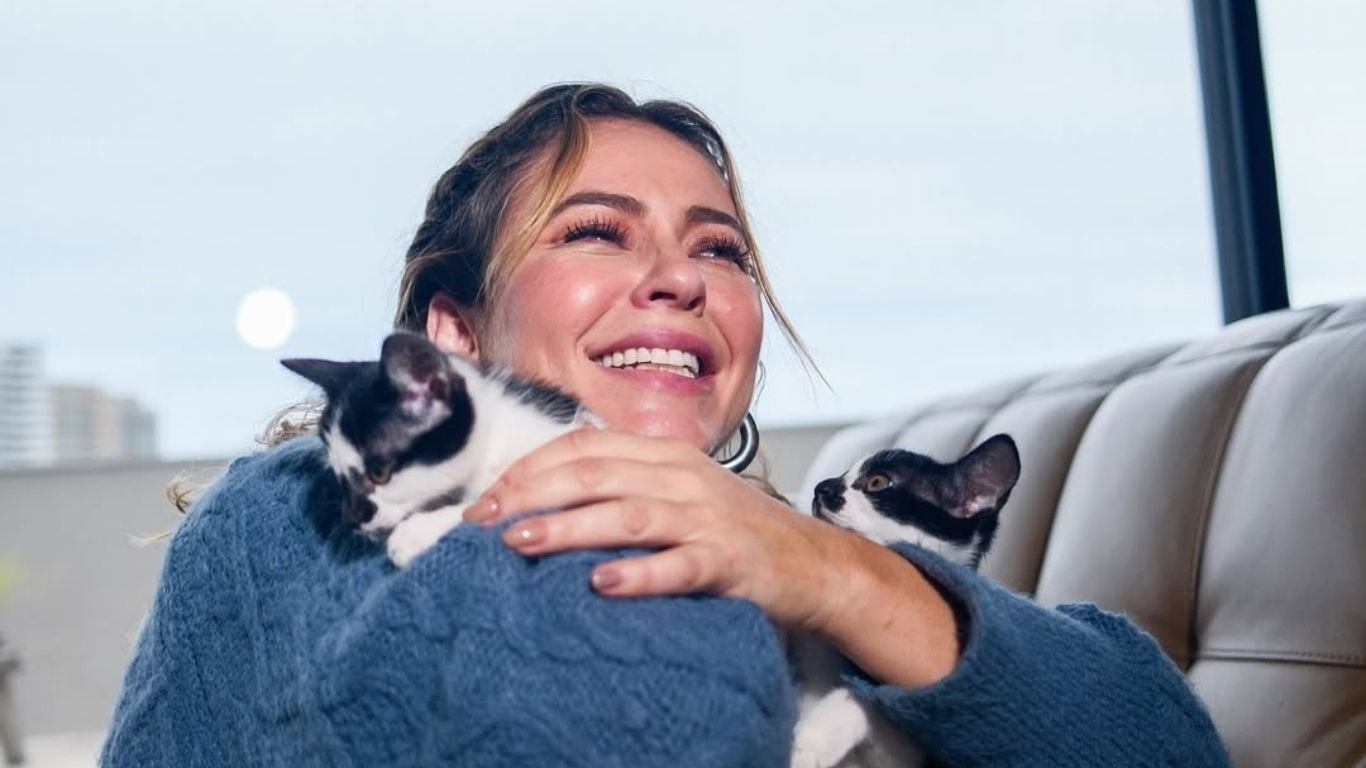 Paolla Oliveira revela ter adotado 11 gatos e 7 cachorros