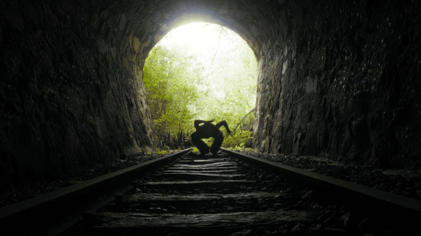 Dea Ferraz estreia no Recife com a videoinstalação Atlas Tentacular