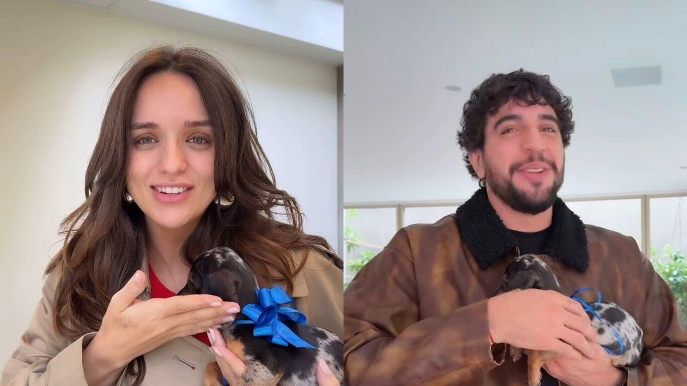 Ex-BBB Rafa Kalimann presenteia Nattan com filhote de cachorro; veja reação