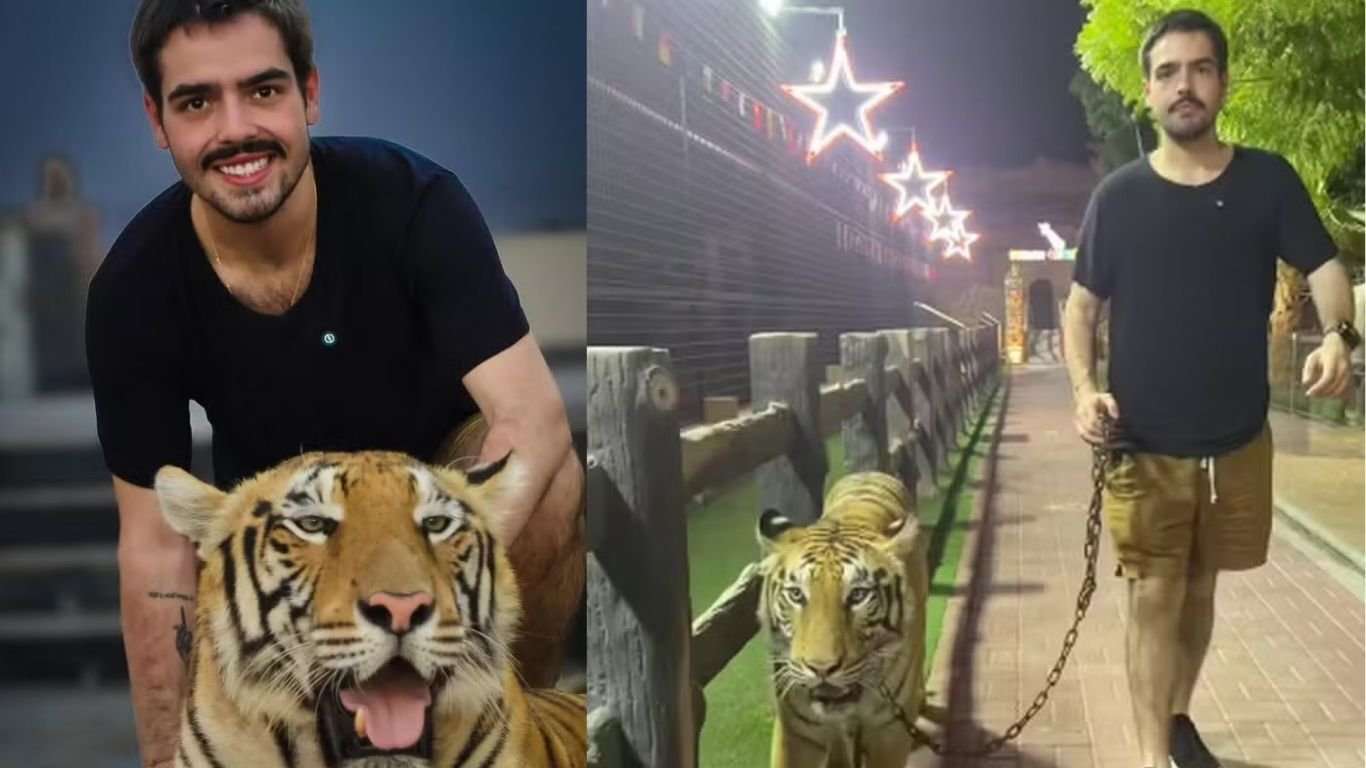 João Silva, filho de Faustão, surge passeando com um tigre; veja