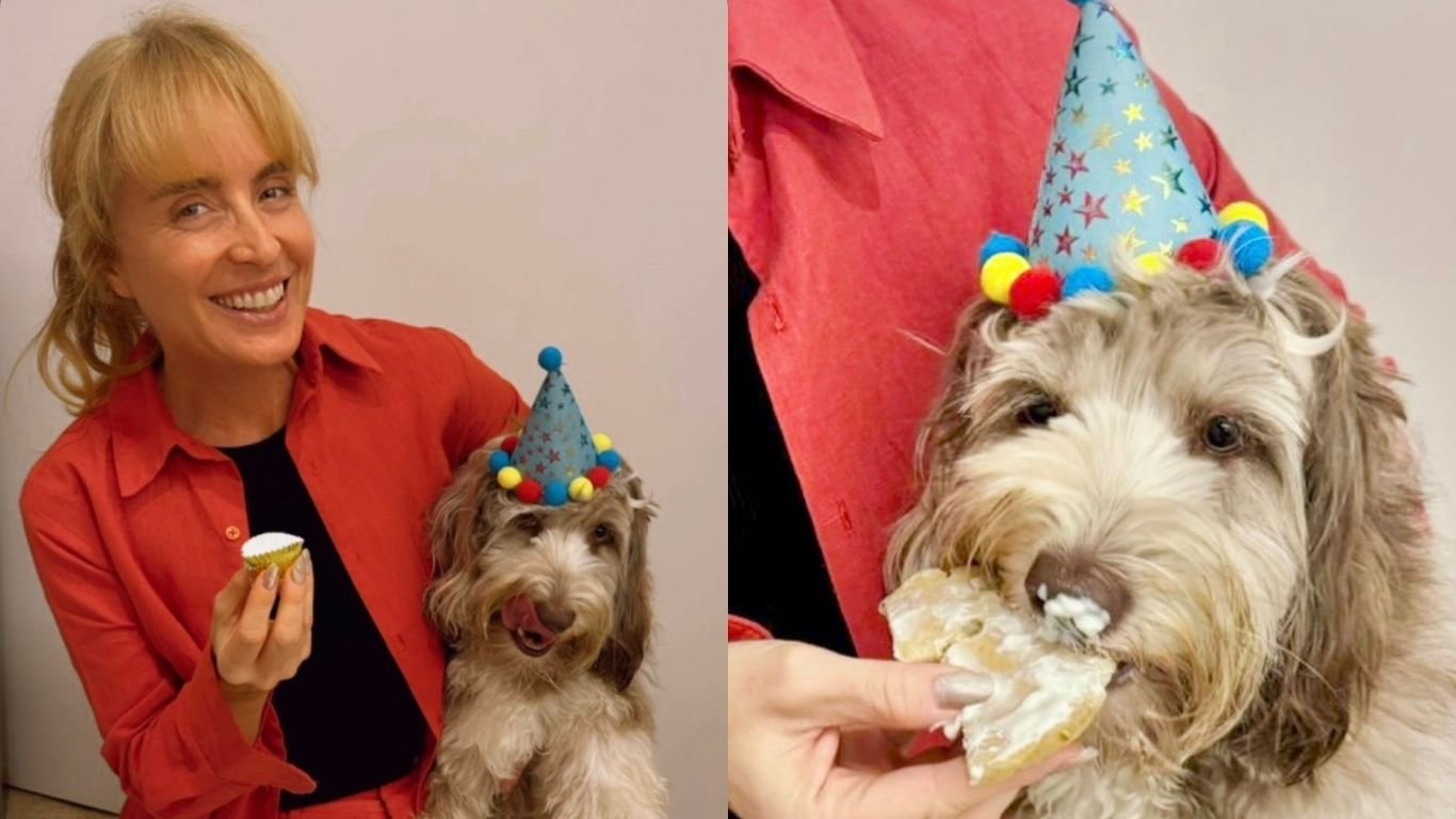 Angélica faz festa para comemorar 2 anos de sua doguinha Tereza