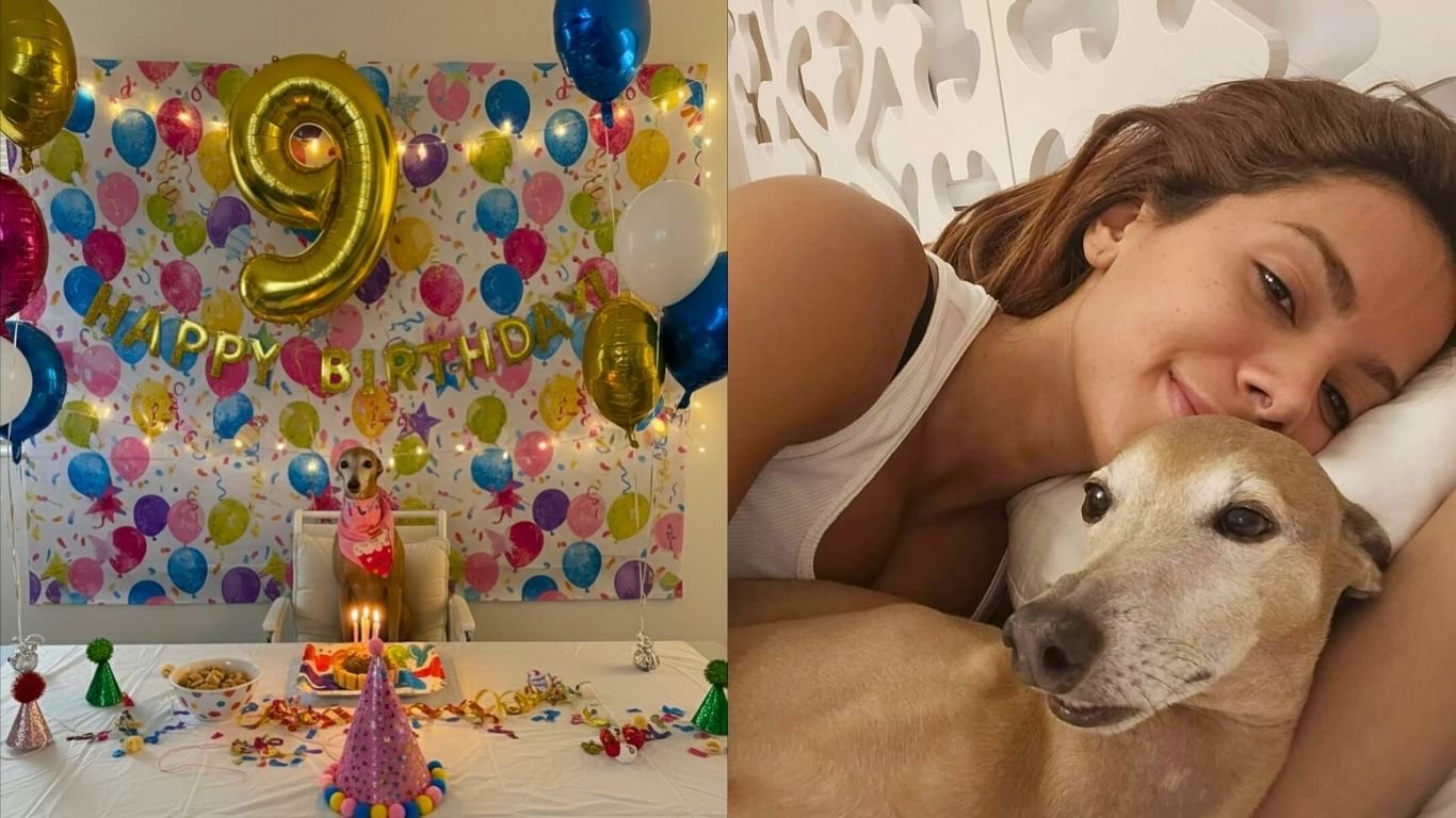 Plínio, cachorro mais famoso de Anitta, faz 9 anos e ganha festa