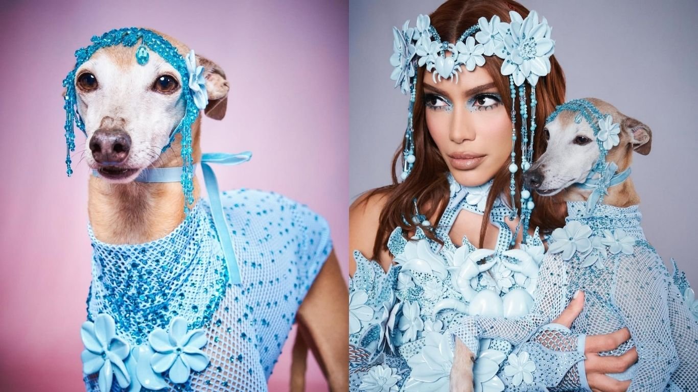 Plínio, cachorro de Anitta, rouba a cena em ensaio fotográfico da cantora