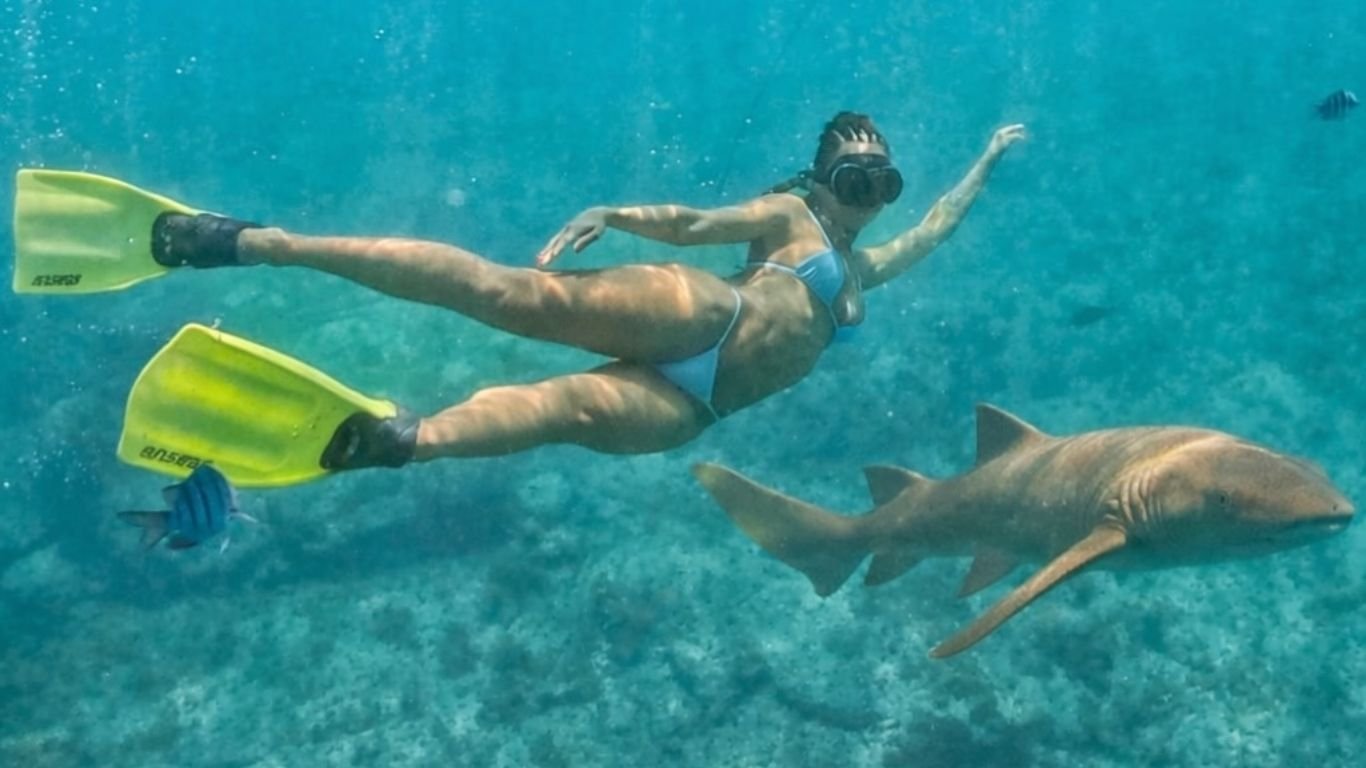 Ex-BBB Brunna Gonçalves nada com tubarão em Fernando de Noronha