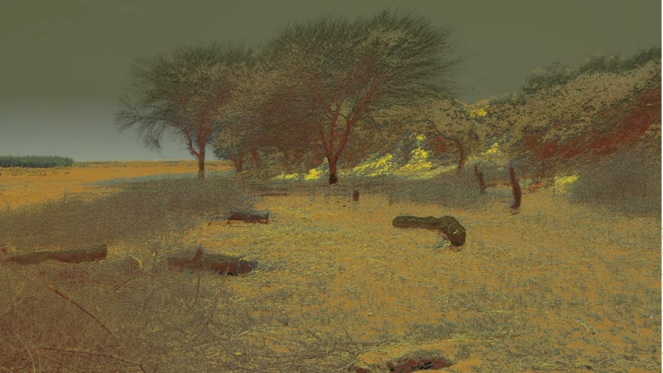 ‘Submersos’, exposição de Silvio Mendes Zanchetti, será aberta nesta terça (3)