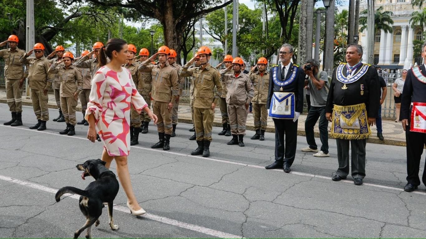 Conheça Frederico Magno, o doguinho adotado por Raquel Lyra na Data Magna de 2024