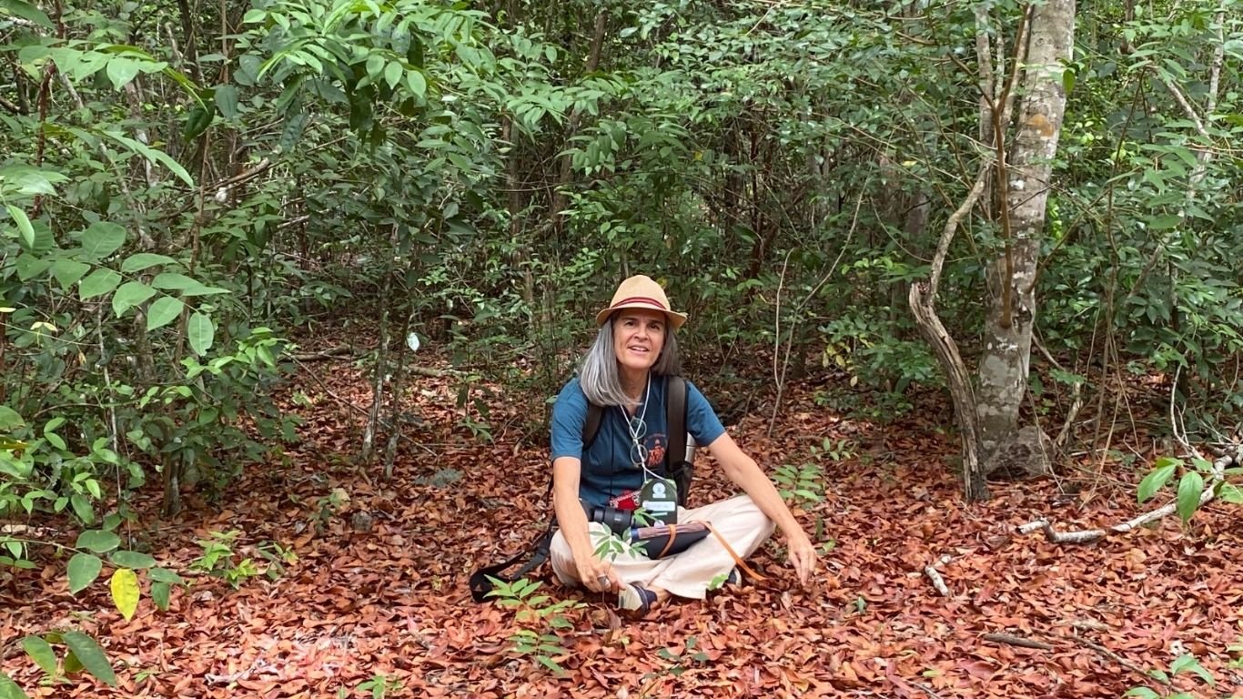 Roberta Guimarães lança obra sobre natureza e espiritualidade neste sábado (11)